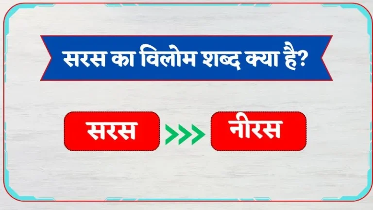 saras ka vilom shabd