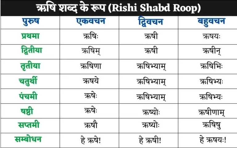 ऋषि शब्द के रूप